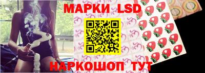 гидропоника Камышлов