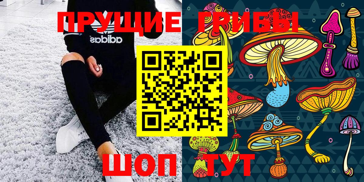 Псилоцибиновые грибы MAGIC MUSHROOMS Королёв